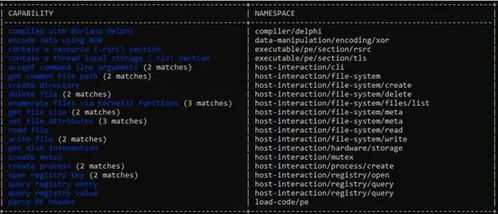 一小时攻陷 Cobalt Strike与NetWalker勒索软件家族深度分析与防御策略